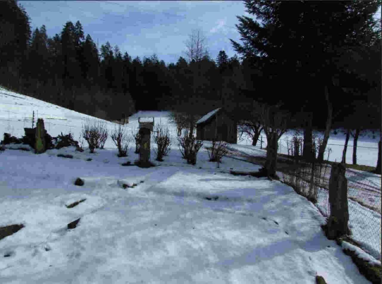 Ferienhaus Schwarzwald Seewald Erzgrube Badesee 100% Natur Zewnętrze zdjęcie