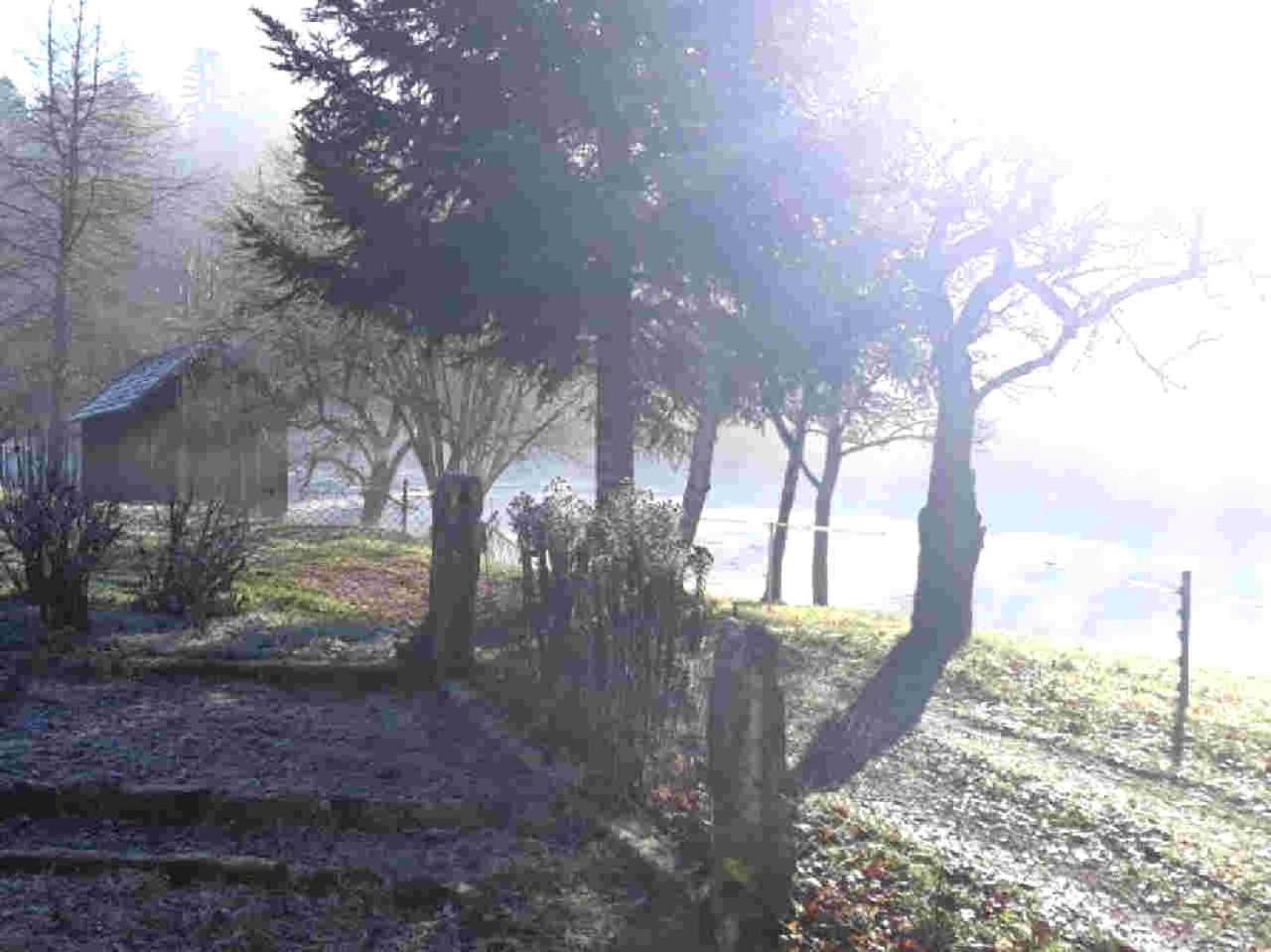 Ferienhaus Schwarzwald Seewald Erzgrube Badesee 100% Natur Zewnętrze zdjęcie