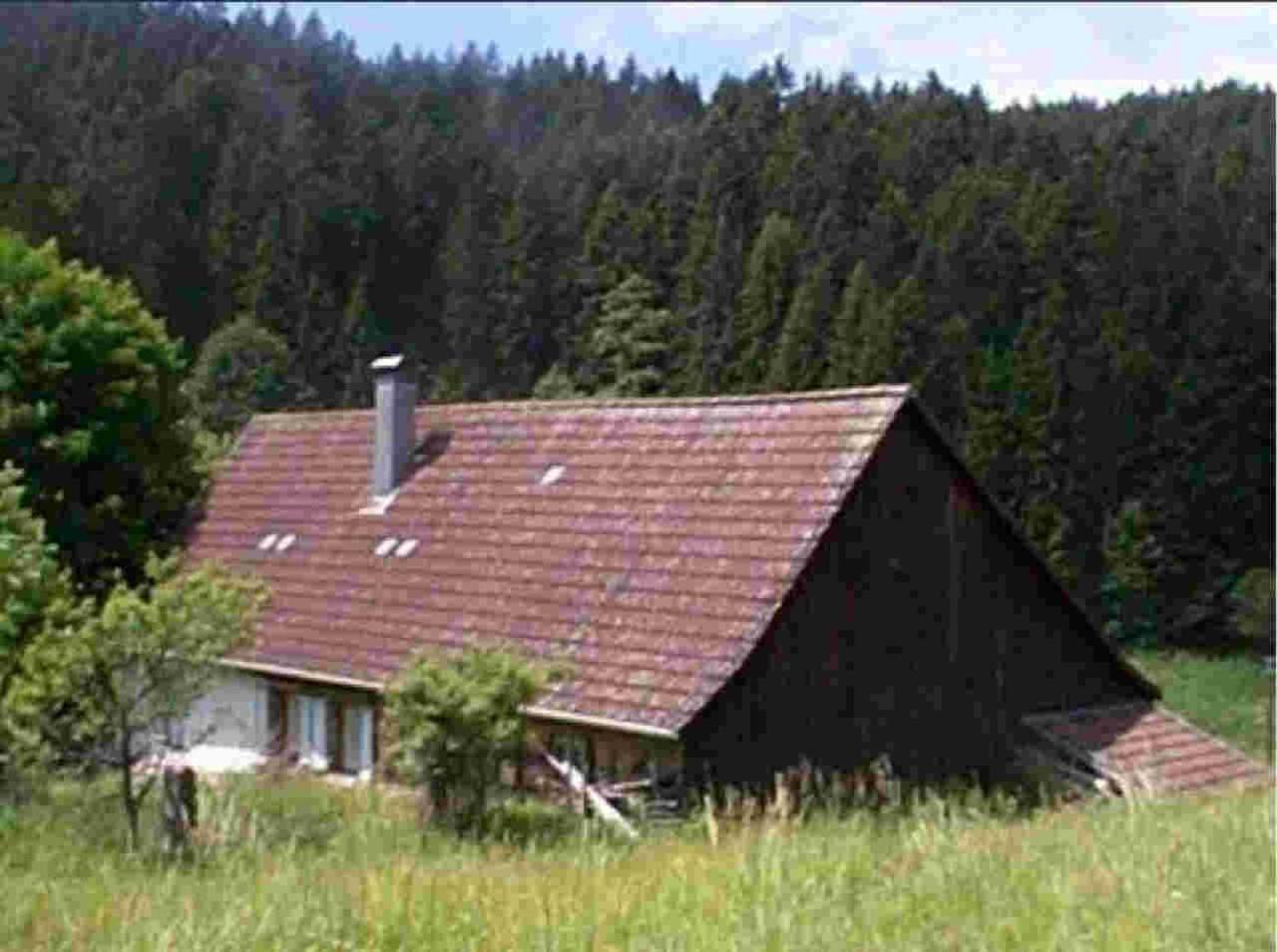 Ferienhaus Schwarzwald Seewald Erzgrube Badesee 100% Natur Zewnętrze zdjęcie